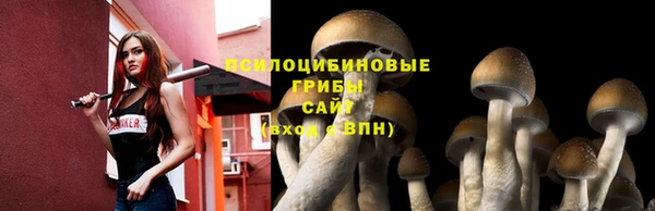 гидра Алексин