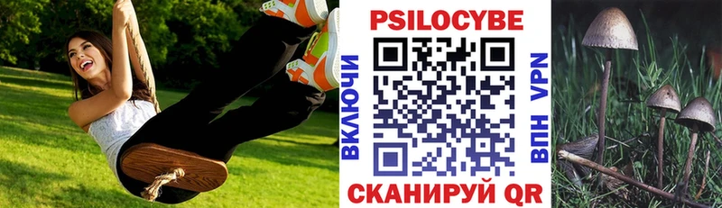 Псилоцибиновые грибы Psilocybe Омутнинск